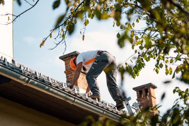 Best Roof Gutter Cleaning  in Wesleyville, PA