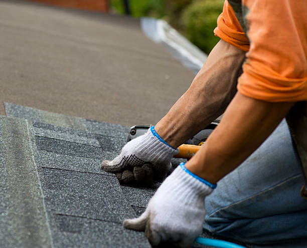 Best Residential Roofing Contractor  in Wesleyville, PA