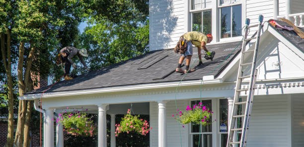 Best Metal Roofing Contractor  in Wesleyville, PA